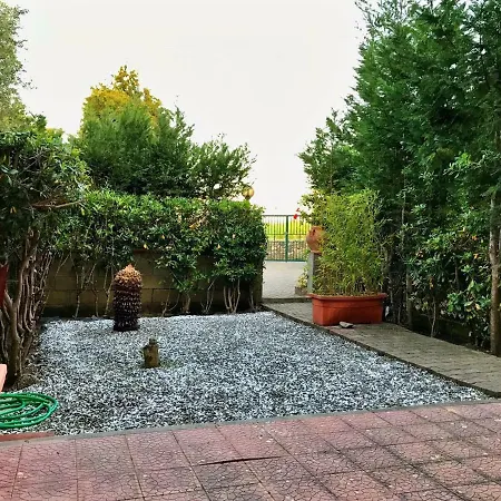 Il Capo